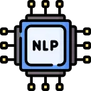 Natural Language Processing (NLP)